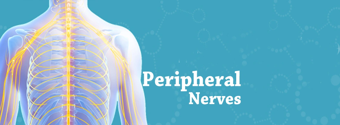 Peripheral Nerves Repair Treatment Cinic in Gurgaon